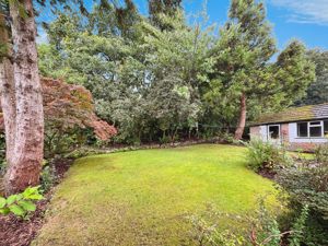 Garden- click for photo gallery